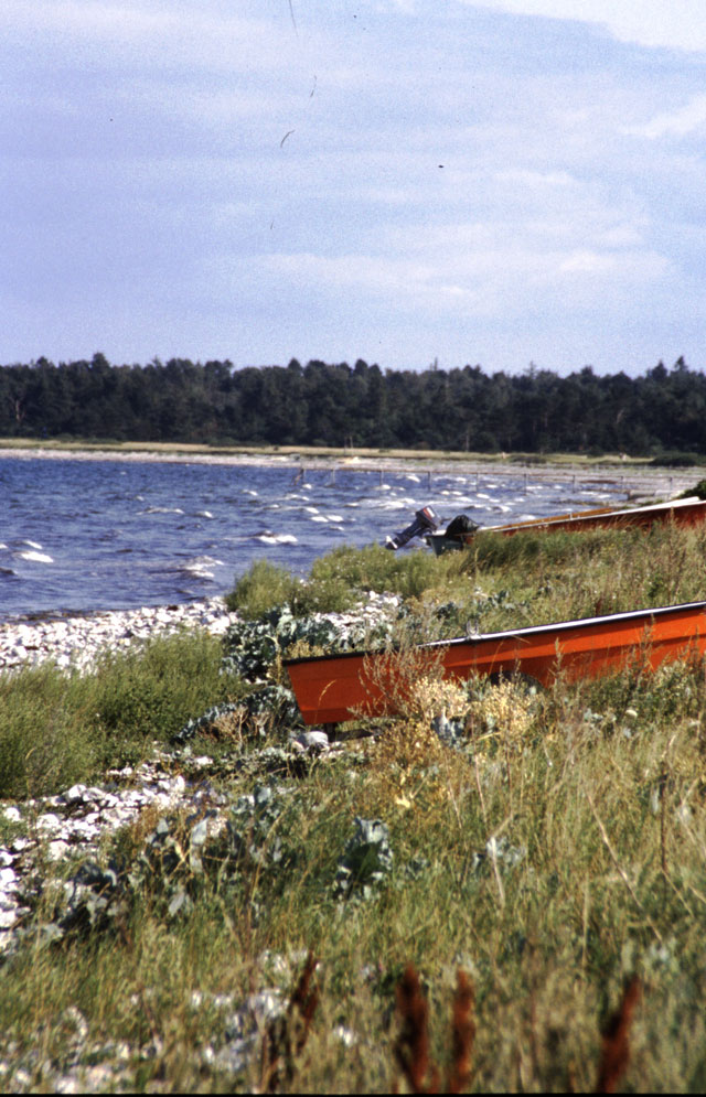 Klint Strand